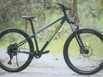 Top 10 Best Mountain Bikes Under $1000: Quality Affordable Options