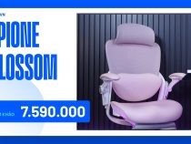 Epione Easy Chair Blossom Reviews on Amazon: The Ultimate Guide